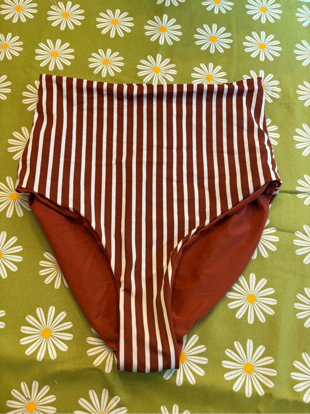 Coral Reef Swim Bali Reversible High Rise Bikini Bottoms Stripes Sienna Rust